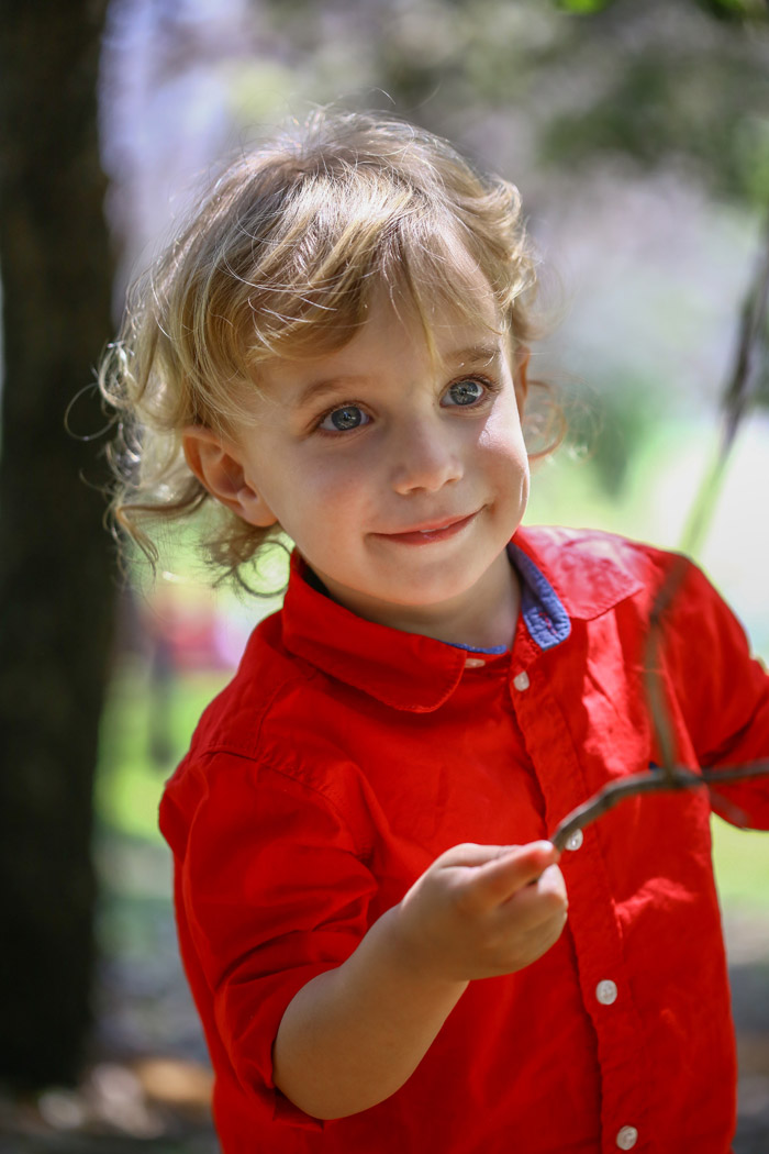 צילום דיוקן